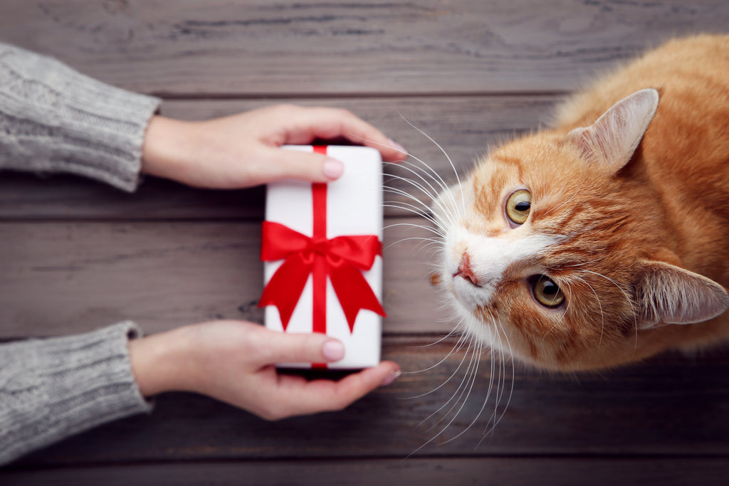 Gift Guide, Happy Cat